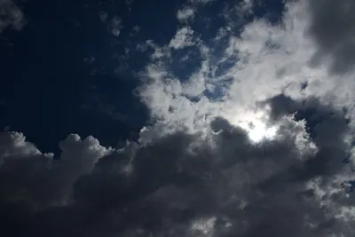 DSC_2961 (Large).JPG